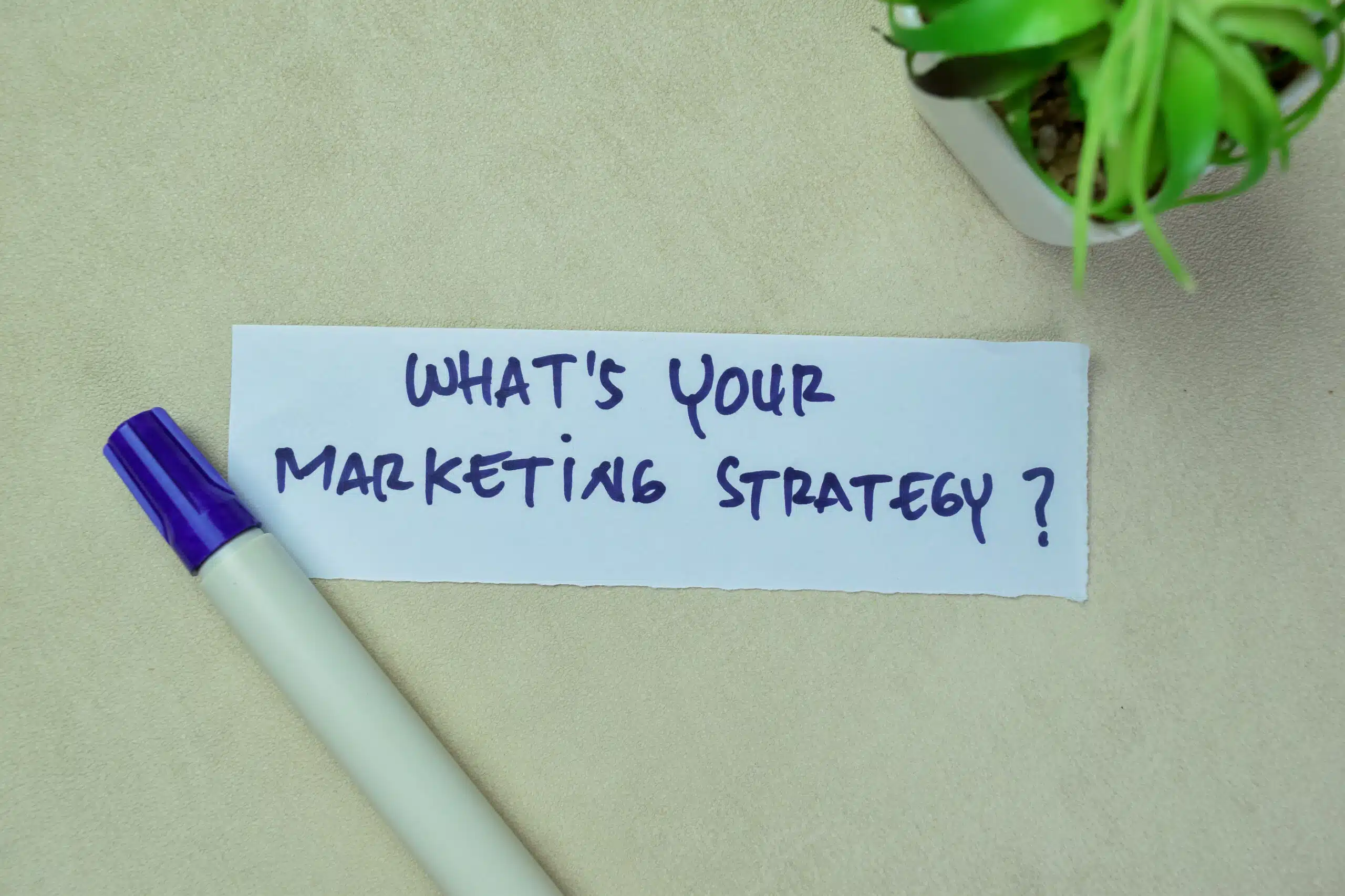 Dentist Marketing Agency