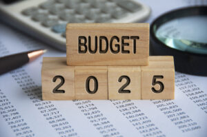 dental marketing budget in 2025